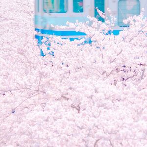 蜜桃91精品㊙️入口17c
