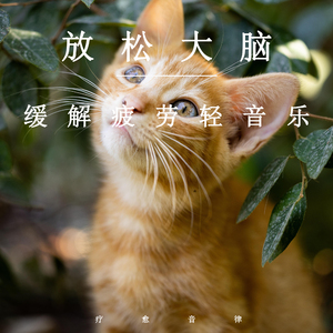 蜜桃91精品㊙️入口17c
